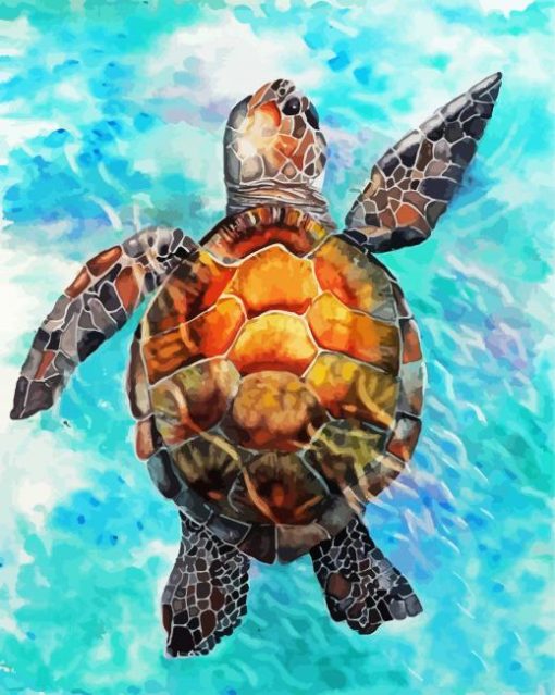 Sea Turtle paint by number