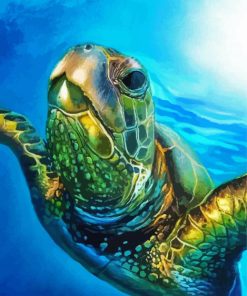 Sea Turtle In The Water paint by number