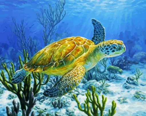 Sea Turtle paint by number