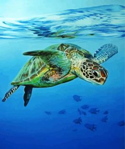 Sea Turtle Swimming paint by number