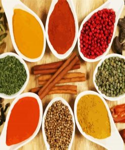 Spices Of Kerala India Paint By Number