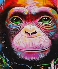 Splatter Monkey Paint By Number