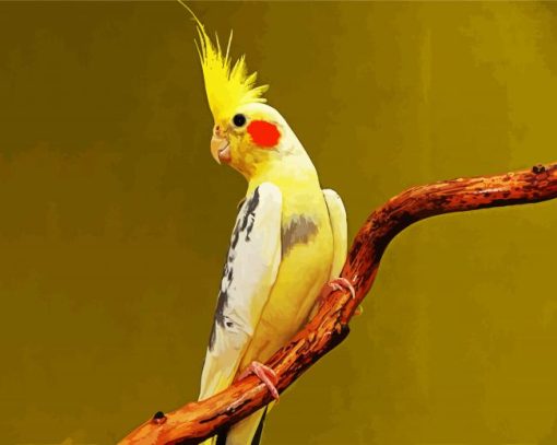 Yellow Cockatiel paint by number