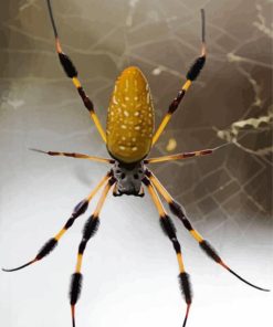 Yellow Spider Paint By Number