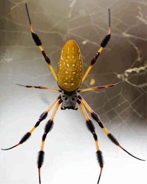 Yellow Spider Paint By Number