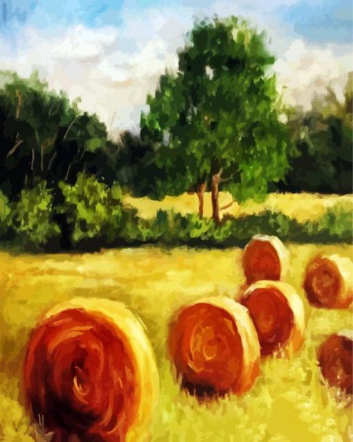 Hay Bales Paint By Number