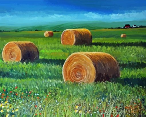 Hay Bales In Farmland Paint By Number