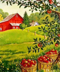 Apples Orchard Paint By Number