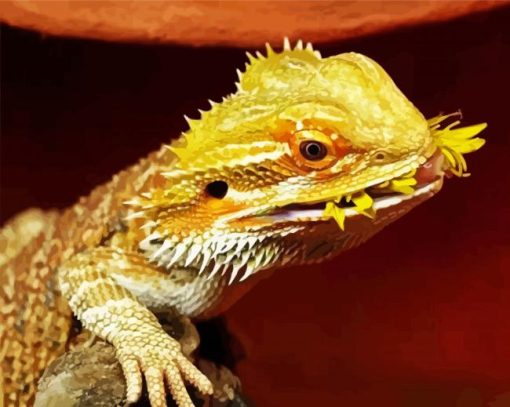 Bearded Dragon Lizard Eating Paint By Number