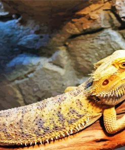 Bearded Dragon Reptiles Paint By Number