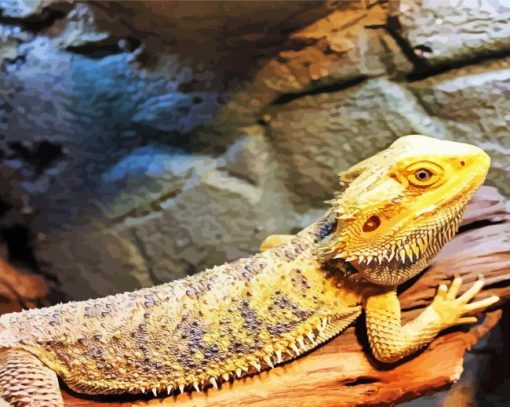 Bearded Dragon Reptiles Paint By Number