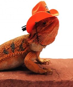 Bearded Dragon Wearing A Cowboy Hat Paint By Number