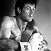 Rocky Balboa Paint By Number