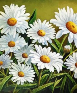 Blooming Chamomile Paint By Number