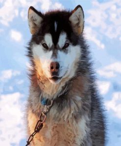 Canadian Eskimo Dog Paint By Number