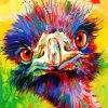 Colorful Emu Head Paint By Number