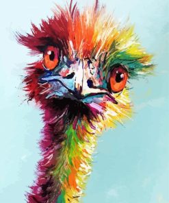 Colorful Emu Paint By Number