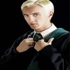 Draco Malfoy Harry Potter Paint By Number