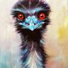 Emu Bird Art Paint By Number