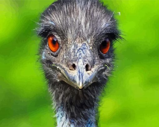 Emu Birds Head Paint By Number