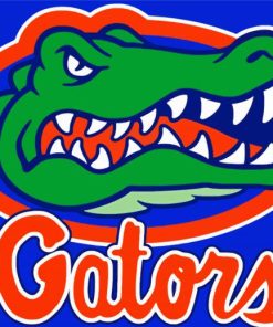 Florida Gators Paint By Number