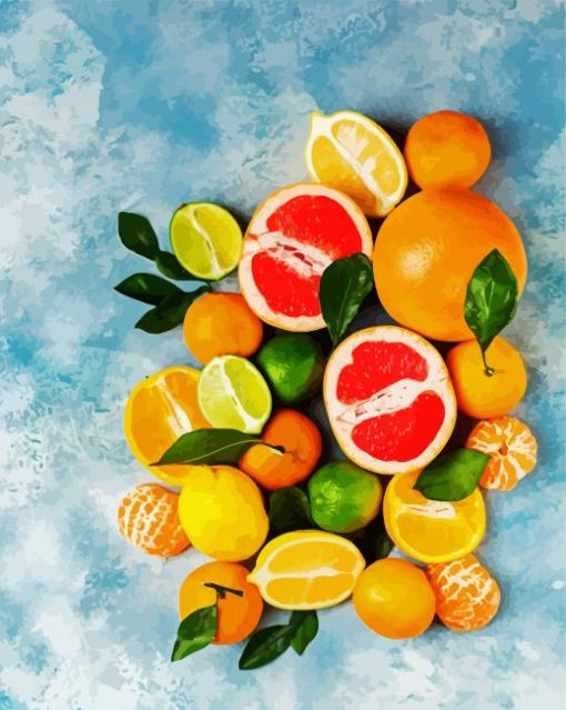 Fresh Citrus Fruit Paint By Number