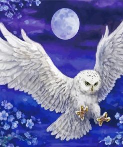 Harry Potter Hedwig Owl Paint By Number