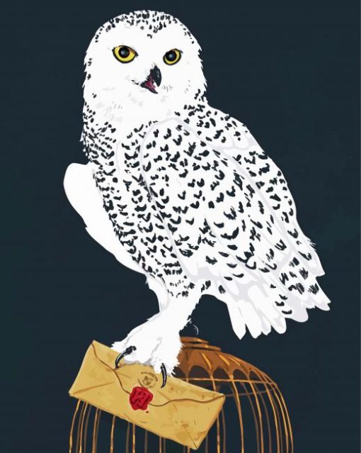 Harry Potter Hedwig Paint By Number