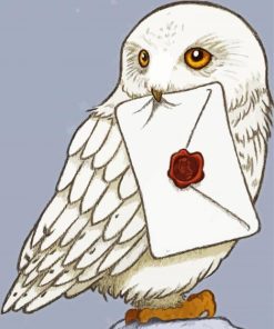 Hedwig Owl Bird Harry Potter Paint By Number