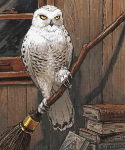 Hedwig Owl Paint By Number