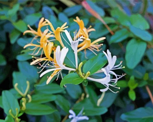 Yellow Honeysuckle Paint By Number