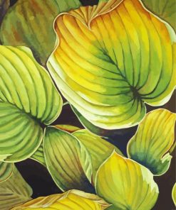 Hosta Plant Art Paint By Number