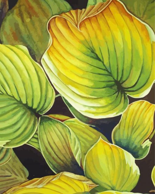 Hosta Plant Art Paint By Number