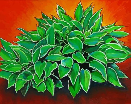 Hosta Plants Art Paint By Number