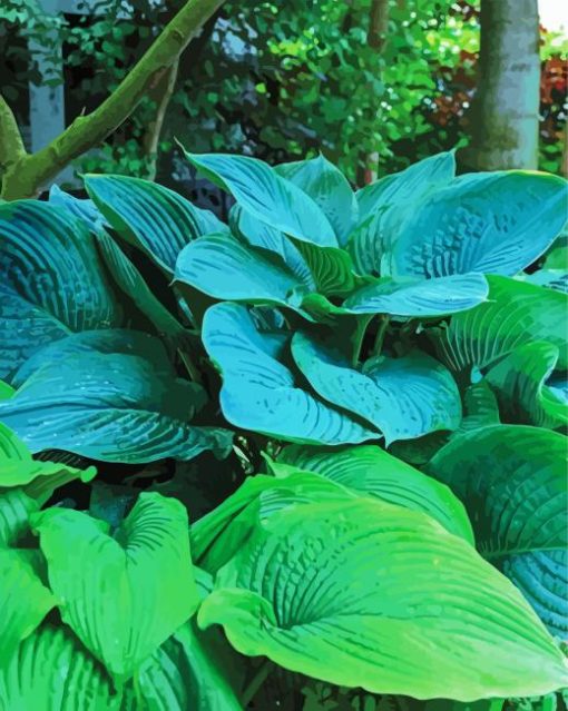 Blue And Green Hosta Plant Paint By Number