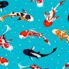 Illustration Koi Carp Fish Paint By Number