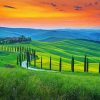 Italy Tuscany Cypress Trees Paint By Number