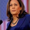 Kamala Harris Vice President Of USA Paint By Number