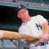 Mickey Mantle Paint By Number