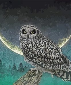 Moonlight Owl Paint By Number