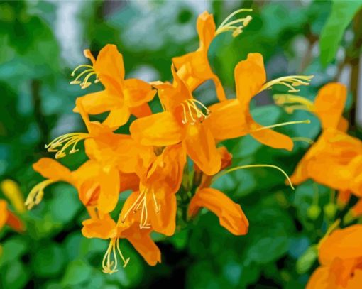 Orange Honeysuckle Paint By Number