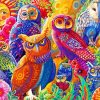 Owl Birds Art Paint By Number