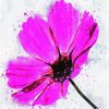 Pink Cosmos Art Paint By Number