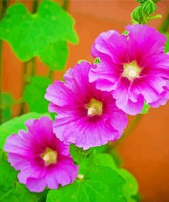 Purple Hollyhocks Paint By Number