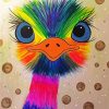 Rainbow Emu Bird Paint By Number