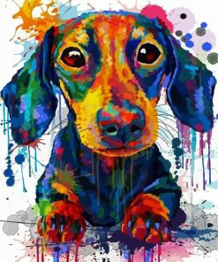 Splatter Dachshund Paint By Number