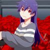 Suruga Kanbaru Monogatari Anime Paint By Number