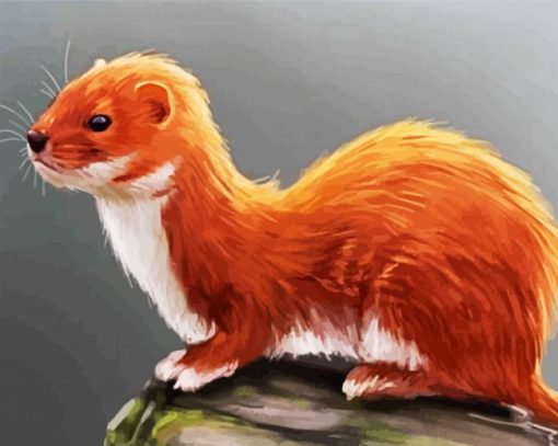 Weasel Paint By Number