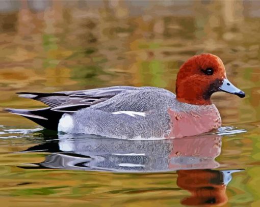 Wigeons Bird Paint By Number