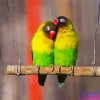 Yellow Green Lovebirds Paint By Number